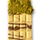 Hvid chokolade